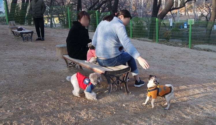 어린이대공원 반려견 놀이터에서 시민들이 휴식을 취하고 있다. (사진=김나영 기자)
