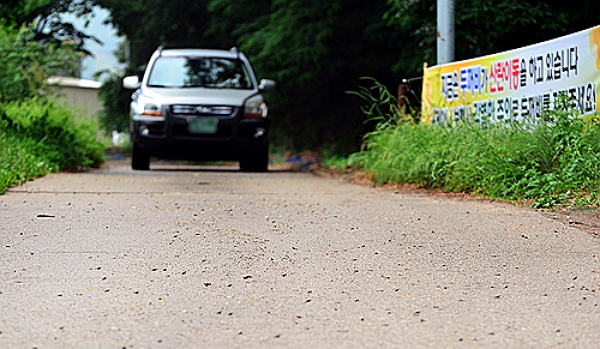 지난해 5월 새끼 두꺼비의 로드킬 사고를 막기 위해 도로 옆에 현수막이 붙어있다.