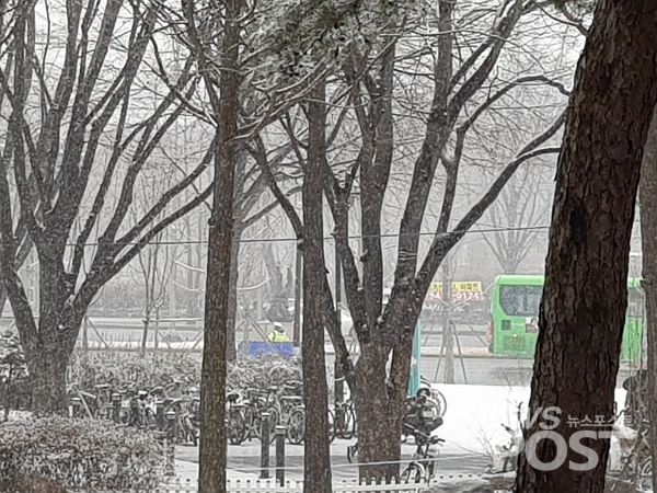 19일 오전 8시 50분께 서울 송파구 아시아공원에 큰 눈이 내리고 있다. (사진=이별님 기자)