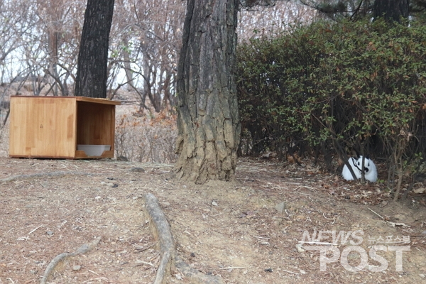 지난 6일 서울 서초구 몽마르트 공원에 마련된 토끼 급식소 근처에 유기 토끼 한 마리가 휴식을 취하고 있다. (사진=이별님 기자)