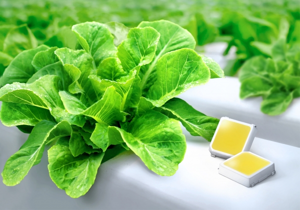 삼성전자, 식물 생장용 백색 LED 업계 최고 효율 달성 (사진=삼성전자)