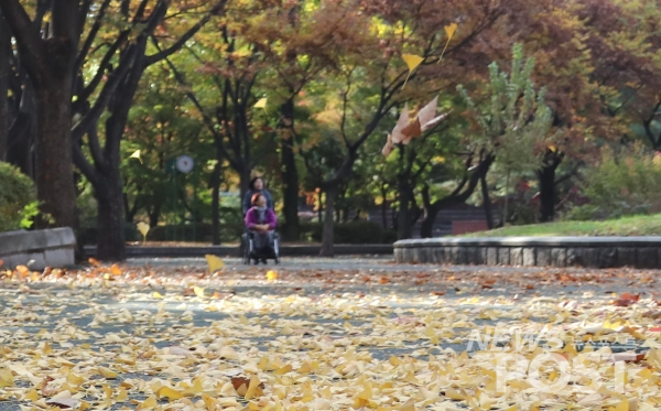 11일 가을 낙엽이 한창인 아시아공원을 산책 중인 시민들. (사진=김혜선 기자)
