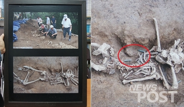 한국전쟁유족회가 공개한 민간인 학살 희생자 유해 발굴 장면. 유해와 함께 탄피로 추정되는 물체가 선명하게 보인다. (사진=뉴스포스트 DB)
