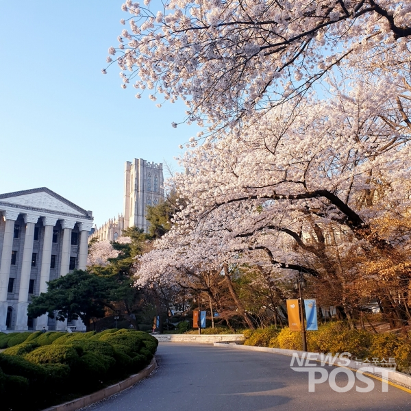 코로나19 사태로 온라인 강의가 진행됨에 따라 서울의 한 대학 캠퍼스가 비어있다. (사진=이해리 기자)