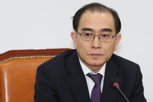 국민의힘 태영호 의원. (사진=뉴시스)