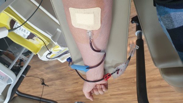 채혈중인 모습 (사진=뉴스포스트 홍여정 기자)