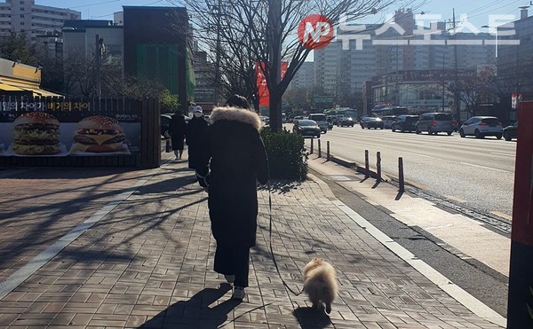 코로나에 확진돼 격리 치료를 할 경우 남겨진 반려동물을 맡아줄 곳이 없다면 지자체가 돌봄 서비스를 제공한다. (사진=뉴스포스트 이해리 기자) 
