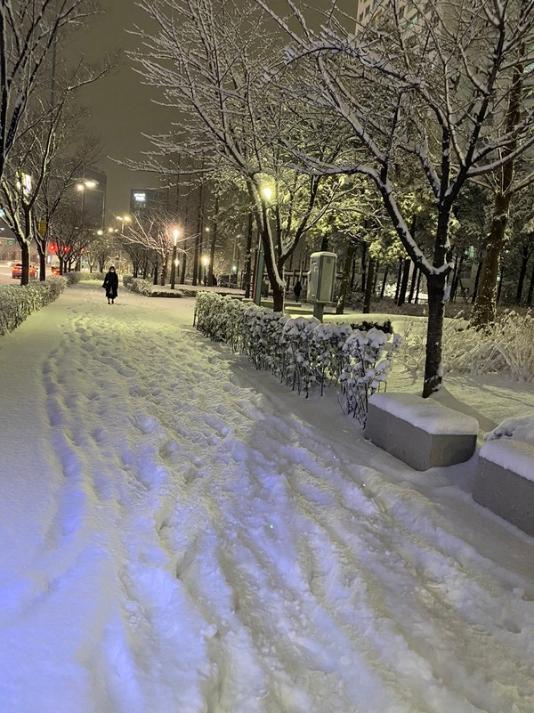 6일 밤 서울에 폭설이 내리고 있다. 이날 기상청은 오후 9시를 기해 서울 전역에 한파 경보를 내리겠다고 밝혔다. (사진=뉴스포스트 김혜선 기자)