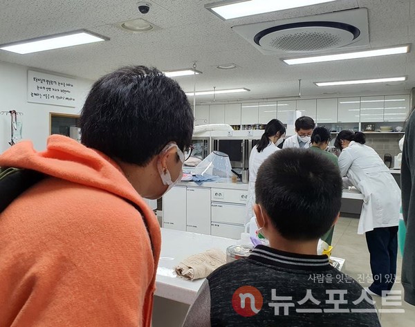 전재한 멘토가 응급중환자실에서 발작을 일으킨 고양이를 처치하고 있다 (사진=뉴스포스트 이해리 기자)