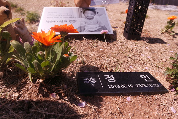 14일 경기도 양평 서종면에 위치한 정인이의 묘소. 작은 꽃이 심겨져 있다. (사진=뉴스포스트 김혜선 기자)
