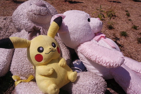 정인이 묘소에 놓인 인형들. 아직 