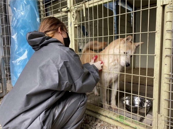 지난 2월 보호종료아동을 위한 커뮤니티 케어 센터에서 보호종료아동들의 사회적 자립 일환으로 유기견  봉사 활동을 진행했다. (사진=보호종료아동을 위한 커뮤니티 케어 센터 제공)