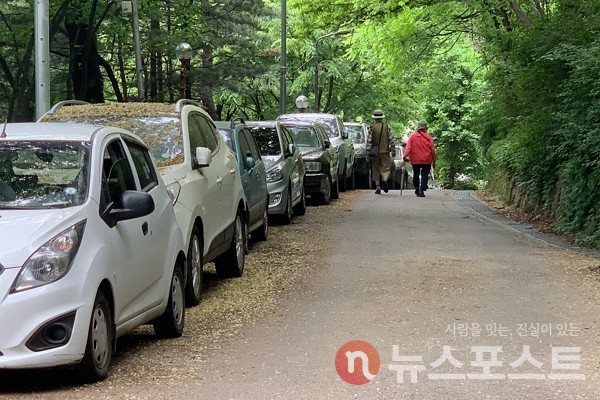 지난 20일 서울 동작구의 한 사립 대학교 인근 도로에서 시민들이 지나가고 있다. 왼편에는 차량들이 일열로 주차돼 있다. (사진=뉴스포스트 이별님 기자)