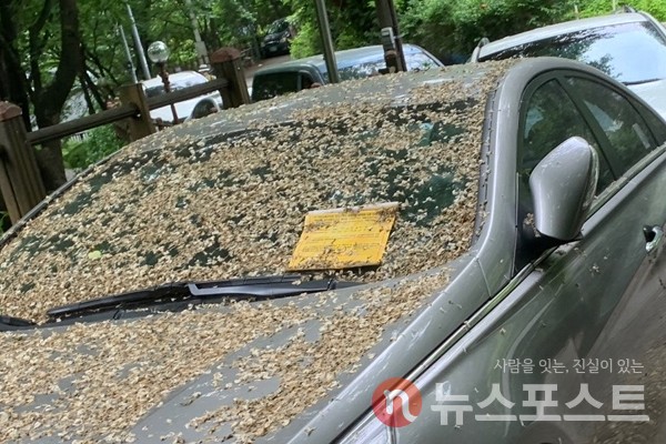 지난 20일 서울 동작구 소재 사립 대학교 캠퍼스 인근 도로에 장기 방치된 차량. 차량 위에는 ‘방치 차량 처리 안내문’이 붙어있다. (사진=뉴스포스트 이별님 기자)