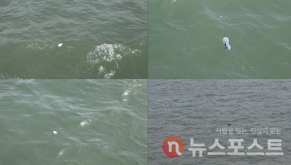 페트병, 종이컵, 비닐 등 해양부유 쓰레기들. (사진=이해리 기자)