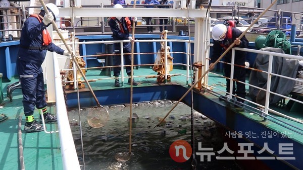 24일 인천의 한 부둣가에서 ‘청항1호’ 선원들이 채를 이용해 해양부유 쓰레기를 수거장치쪽으로 보내고 있다. (사진=뉴스포스트 이해리 기자)