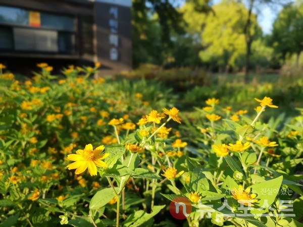 사계절 다른 꽃들이 피어나는 양재시민의 숲 북측 입구. 많은 시민이 북측 공간을 찾는다. (사진=뉴스포스트 이상진 기자)
