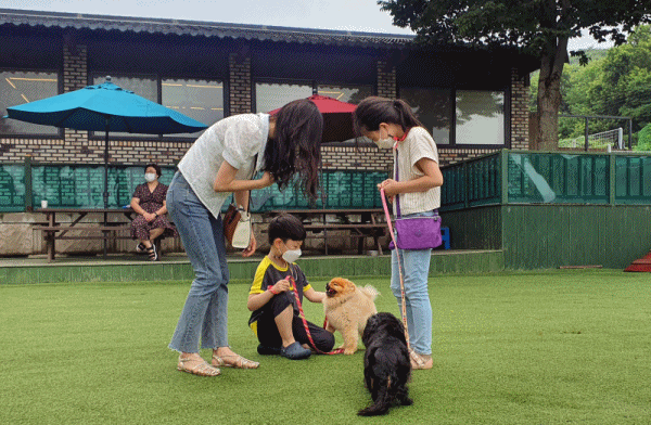 멘토링 후 이해성 군, 이보람 양이 강아지 훈련 및 교감마사지를 체험하고 있다. (사진=뉴스포스트 이해리 기자)