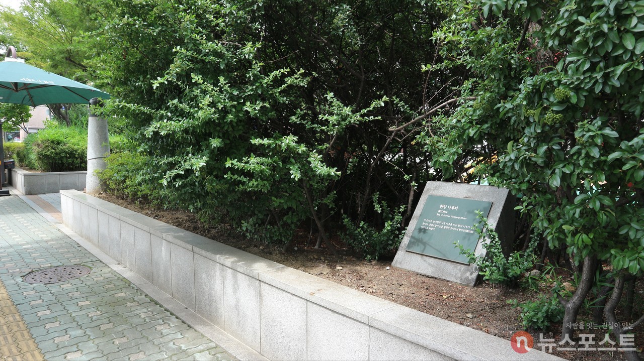 (2021. 07. 14) 한남 나루터 표지석. 공원 밖 덤불에 놓였다. (사진: 뉴스포스트 강대호 기자)