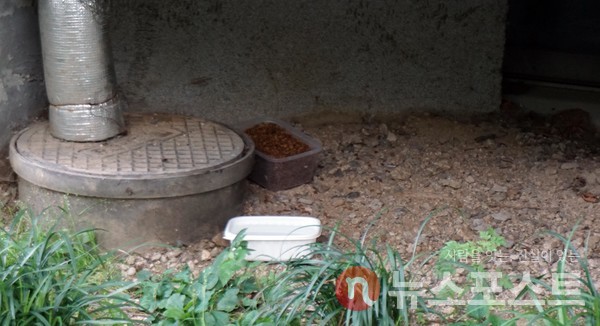 캣맘이 놓아둔 사료와 물. (사진=뉴스포스트 이해리 기자) 