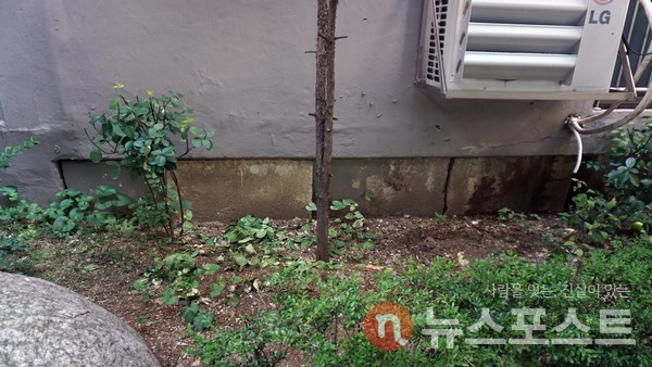 길고양이가 자주 드나드는 아파트 밑 화단을 막아놨다. (사진=뉴스포스트 이해리 기자)