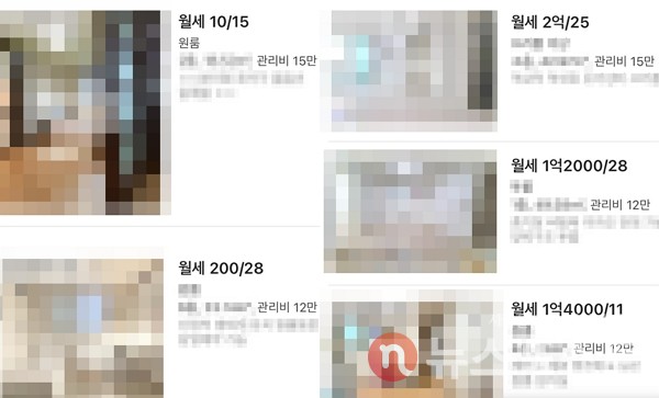 순서대로 서울 관악구 신림동과 강남구 역삼동의 부동산 거래 가격. 관리비가 월세와 같거나, 전·월세 신고 기준을 피하려는 월세 가격이 눈에 띈다. (사진=부동산 앱 ‘다방’ 캡처)