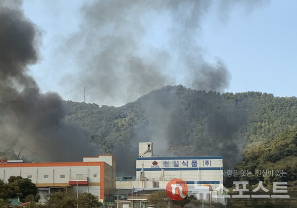 지난 24일 충남 홍성 광천김특화단지에서 화재가 발생해 약 5시간 만에 진화됐다. (사진=뉴스포스트 이별님 기자)