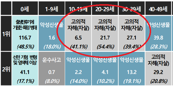 10~30대에선 자살이 사망 원인 1위였다. (자료=통계청)