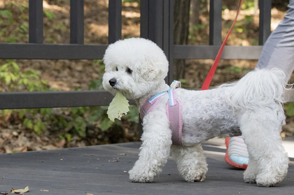 기사와 관련 없는 자료 사진. (사진=픽사베이)