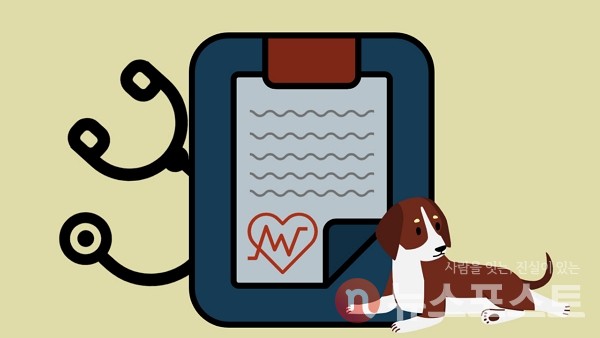 (그래픽=뉴스포스트 강은지 기자)