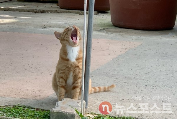 (사진=뉴스포스트 DB)