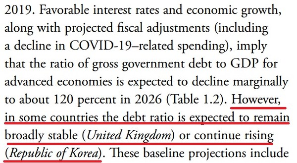 (자료=IMF Fiscal Monitor 2021)