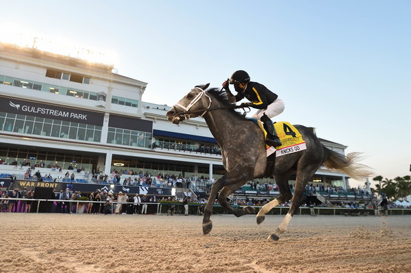 지난해 개최된 페가수스월드컵에서 1위로 결승선을 통과하는 한국마사회 경주마 닉스고. (사진=한국마사회 제공)