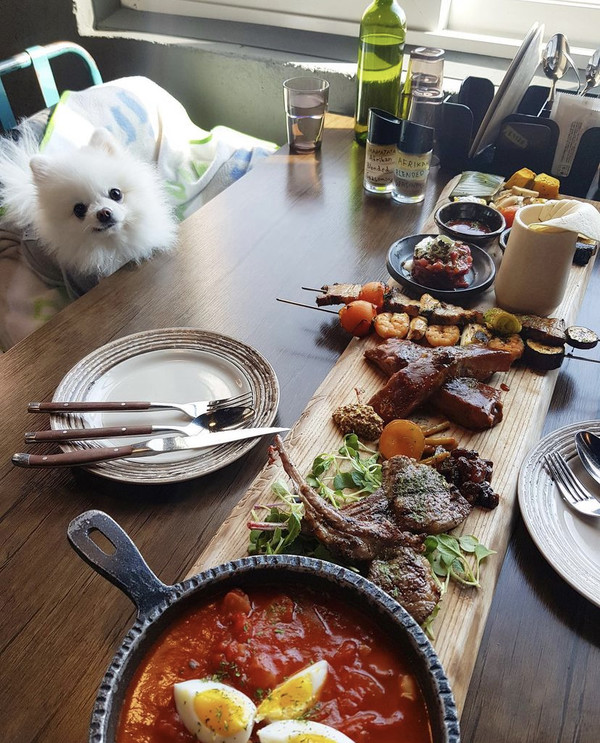 동반입장 가능한 업소에서 귀여운 반려견과 함께 휴일을 보낸다. (사진제공 = 김서영)