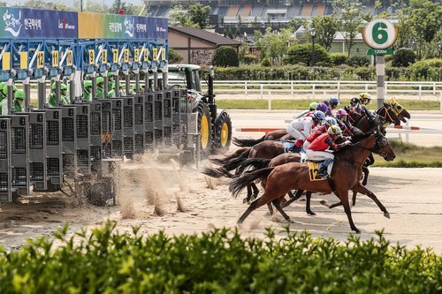 (사진=한국마사회 제공)