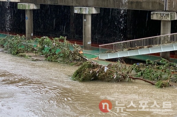 지난 8월 9일 서울 구로구 도림천 산책로의 나무가 폭우로 쓰러졌다. (사진=뉴스포스트 DB)
