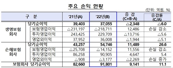 국내 보험사 주요 손익 현황 (사진=금융감독원 자료 갈무리)