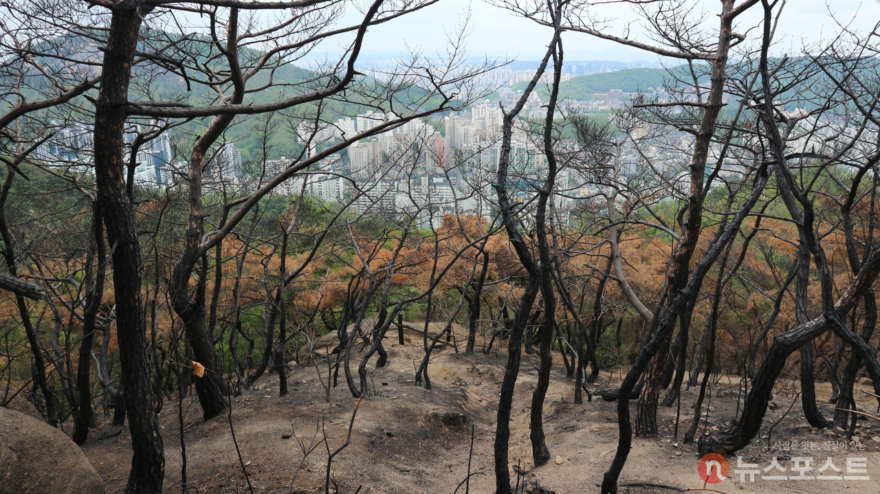 (2023. 04. 26) 인왕산 산불 현장에서 바라본 홍제동. (사진=뉴스포스트 강대호 기자)