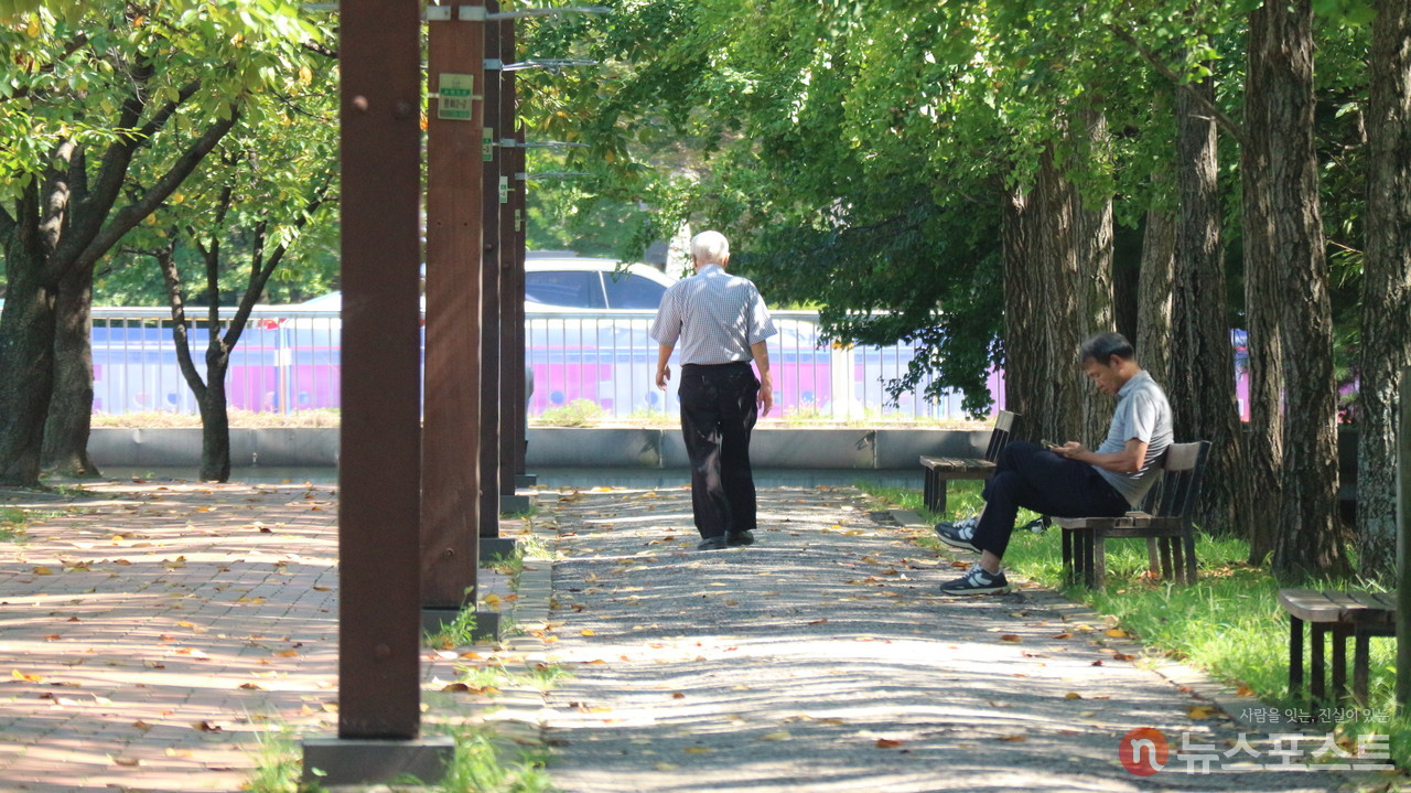 중장년층과 노년층에서 1인 세대가 늘어나고 있다.  (사진=뉴스포스트 강대호 기자)