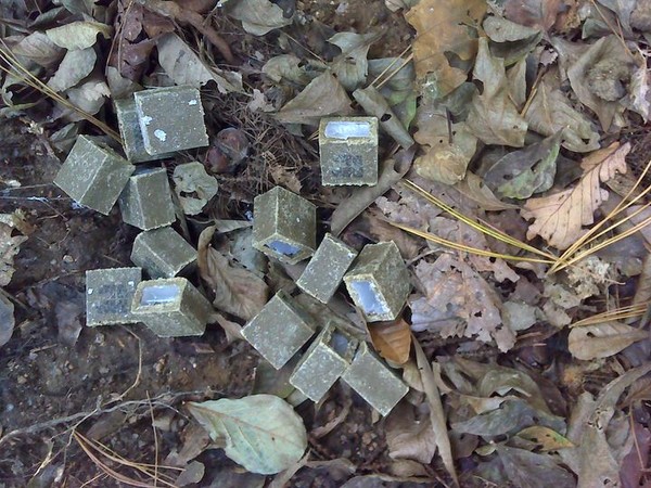 살포되는 미끼형 광견병 예방약. (사진=서울시 제공)