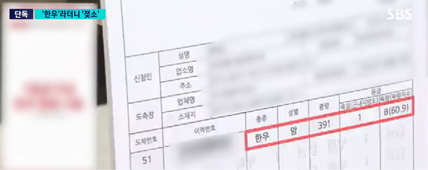 SBS보도 속 공영홈쇼핑 1등급 한우불고기 등급표  캡처(사진=SBS)