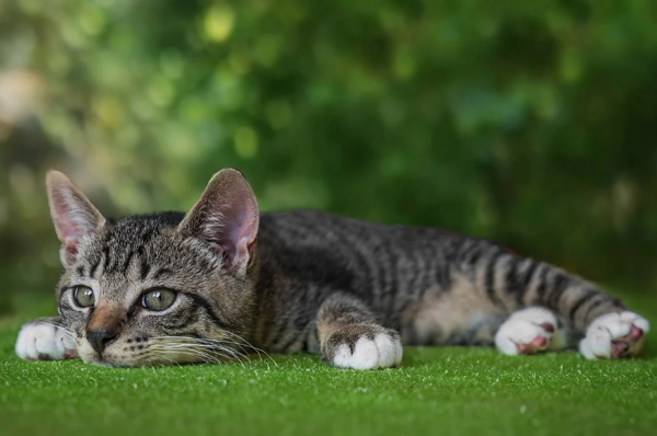 (사진=픽사베이 제공)