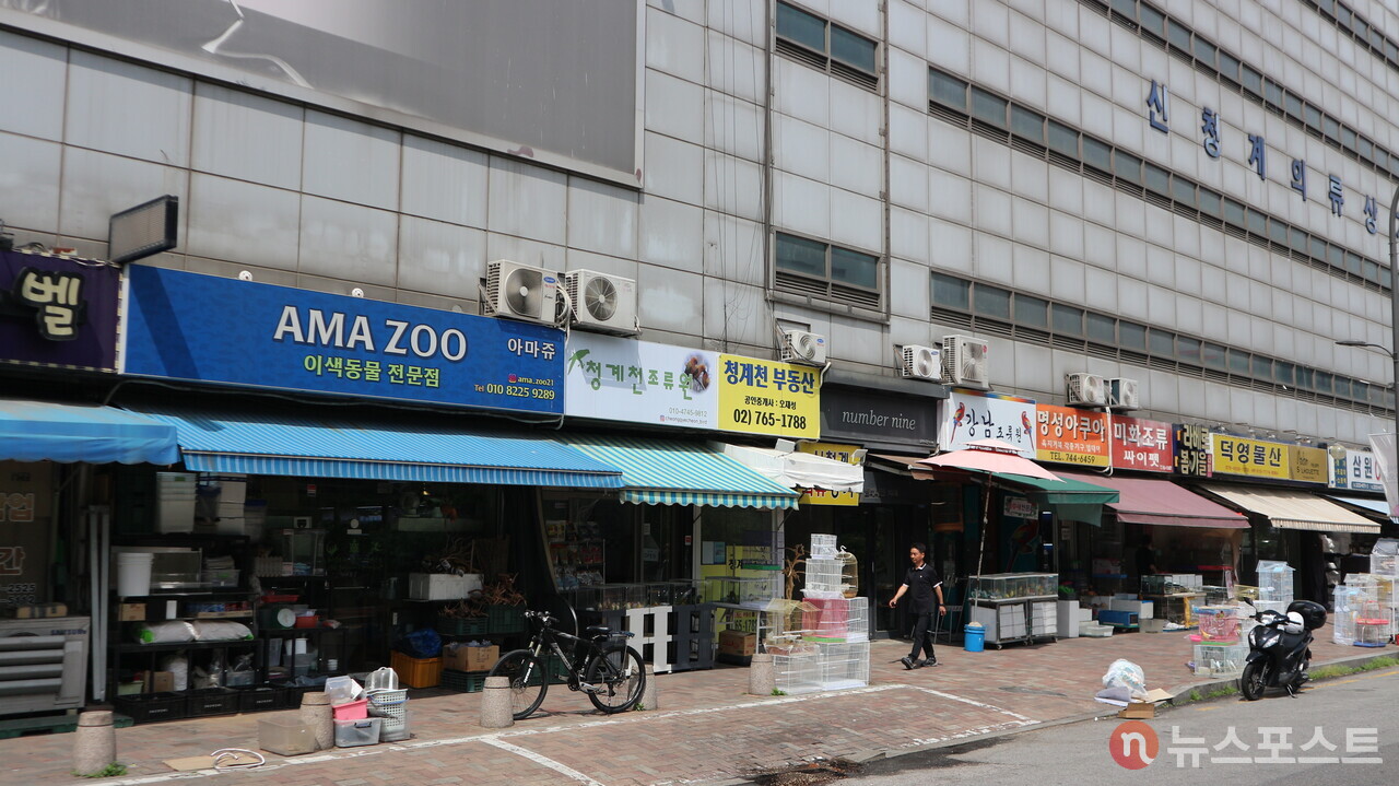 청계천 변의 애완동물 거리. 조류와 파충류를 파는 점포들이 모여 있다. (사진= 뉴스포스트 강대호 기자)