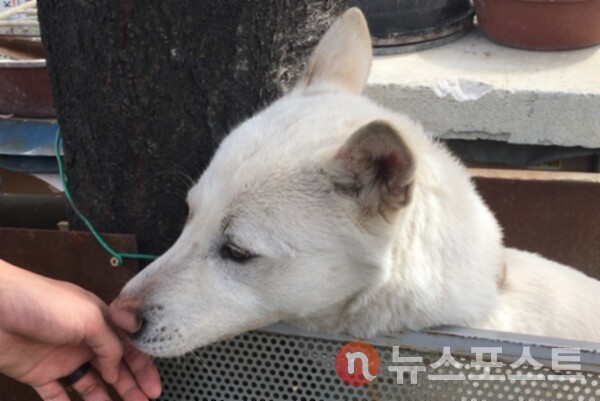 기사와 관련 없는 자료 사진. (사진=뉴스포스트 DB)