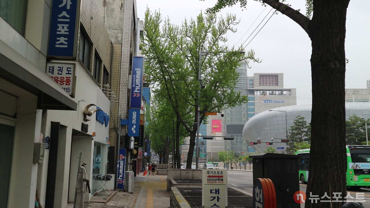 DDP 건너편 을지로7가의 체육사들. (사진=뉴스포스트 강대호 기자)