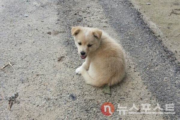 기사와 관련 없는 자료 사진. (사진=뉴스포스트 DB)
