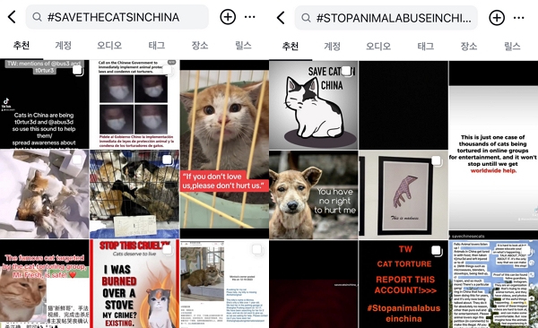5일 인스타그램에는 'SAVETHECATSINCHINA(중국의 고양이를 구하라)', 'STOPANIMALABUSEINCHINA(중국에서 동물학대를 멈춰라)'라고 적힌 해시태그(#) 게시물들이 올라오고 있다. (사진=인스타그램 갈무리)