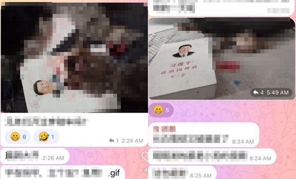 고양이 학대 장면이 담긴 텔레그램 단체 채팅방. 시진핑 중국 국가주석의 저서와 함께 자신들이 처벌받지 않는다는 내용의 조롱 글들이 올라왔다. (사진=엑스 갈무리)
