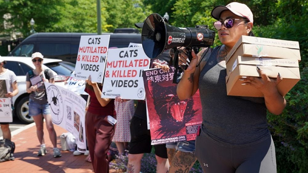 미국 워싱턴D.C.에서 중국의 고양이 학대 문제를 알리는 Feline Guardians 활동가들. (사진=Feline Guardians 홈페이지 제공)