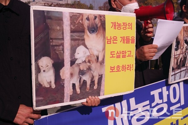 8일 서울 여의도 국회의사당 앞에서 한국동물보호연합 회원들이 농장견들의 사진을 들고 있다. (사진=뉴스포스트 이별님 기자)